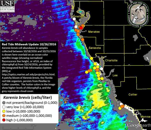 Red Tide Status October 26 Ms Center Of Swfl